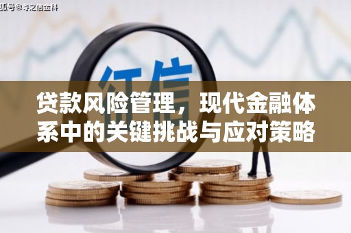 杭锦后旗贷款风险管理，现代金融体系中的关键挑战与应对策略