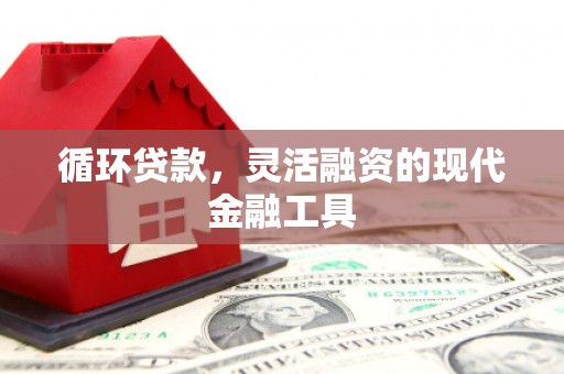 杭锦后旗循环贷款，灵活融资的现代金融工具
