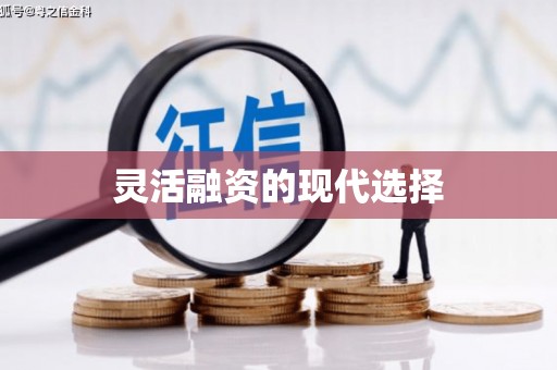 杭锦后旗灵活融资的现代选择