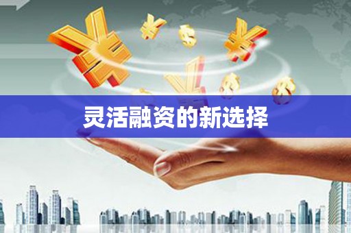 杭锦后旗灵活融资的新选择