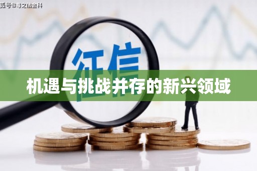 杭锦后旗机遇与挑战并存的新兴领域