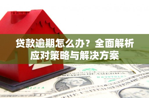 杭锦后旗贷款逾期怎么办？全面解析应对策略与解决方案