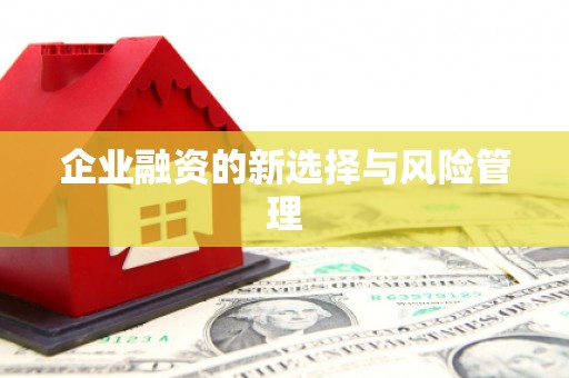 杭锦后旗企业融资的新选择与风险管理