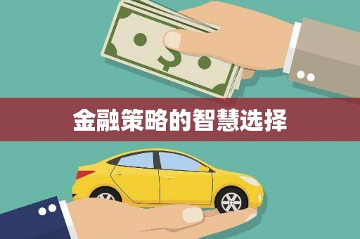 杭锦后旗金融策略的智慧选择