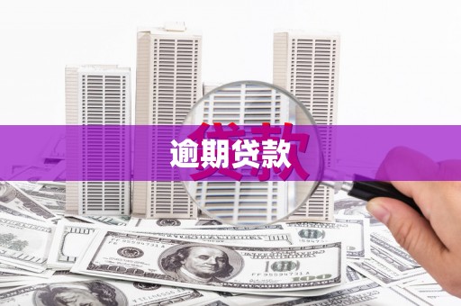 杭锦后旗逾期贷款
