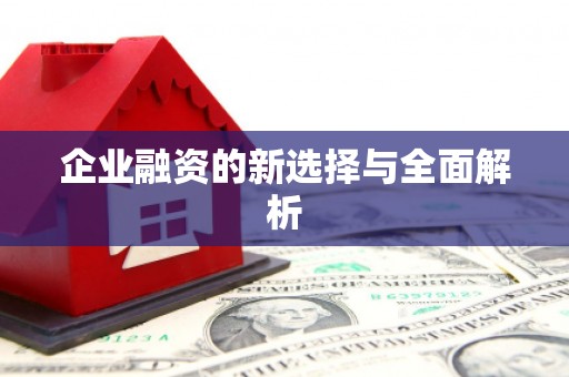 杭锦后旗企业融资的新选择与全面解析
