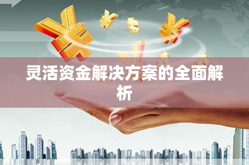 杭锦后旗灵活资金解决方案的全面解析