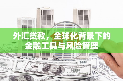 杭锦后旗外汇贷款，全球化背景下的金融工具与风险管理