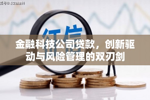 杭锦后旗金融科技公司贷款，创新驱动与风险管理的双刃剑